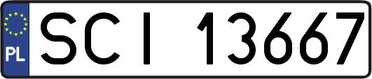SCI13667