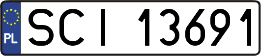 SCI13691