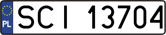 SCI13704