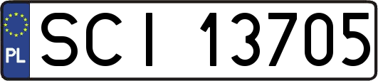 SCI13705