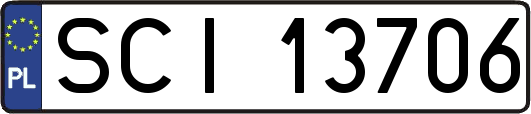 SCI13706