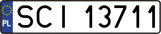 SCI13711