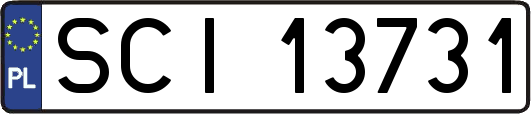 SCI13731