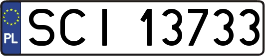 SCI13733