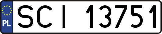 SCI13751