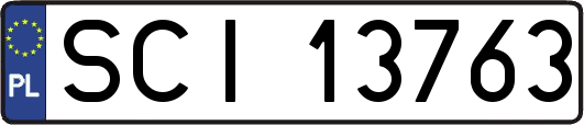 SCI13763