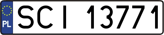 SCI13771