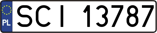 SCI13787