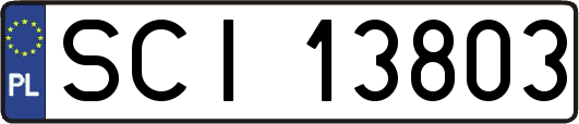 SCI13803