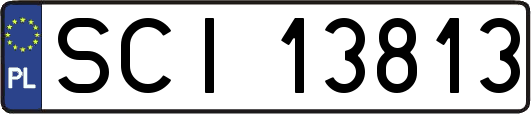 SCI13813