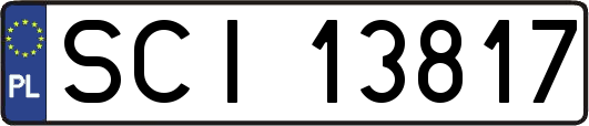 SCI13817