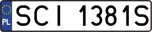 SCI1381S