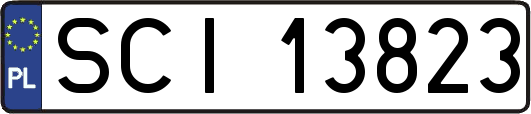 SCI13823