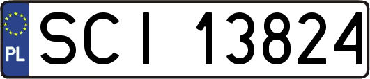 SCI13824
