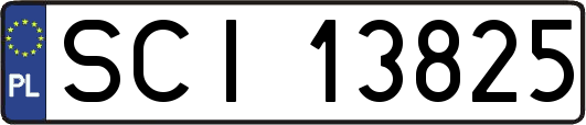 SCI13825