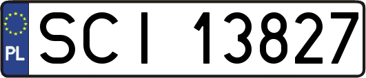 SCI13827