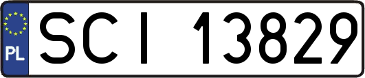 SCI13829
