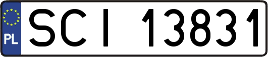 SCI13831