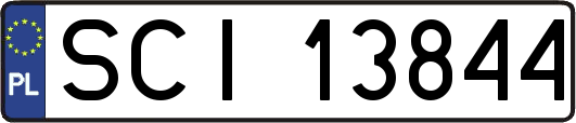 SCI13844