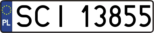 SCI13855