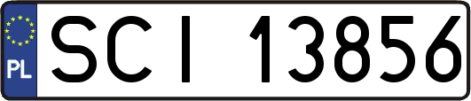 SCI13856