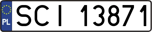 SCI13871