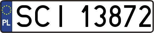 SCI13872