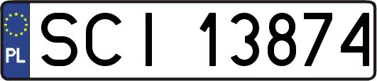 SCI13874