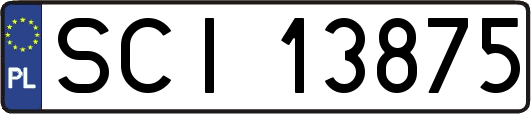 SCI13875