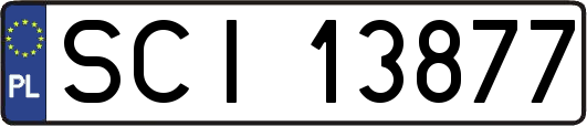 SCI13877