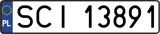 SCI13891