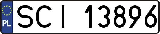 SCI13896