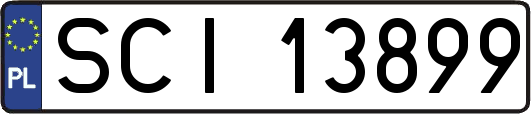 SCI13899