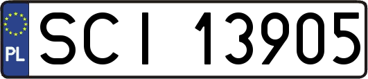 SCI13905