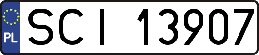 SCI13907