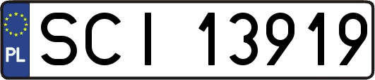 SCI13919