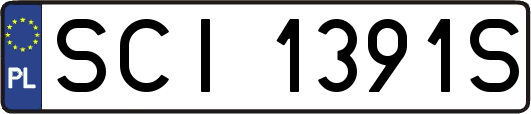 SCI1391S
