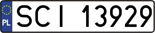 SCI13929