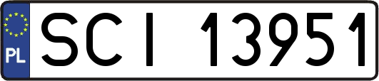 SCI13951