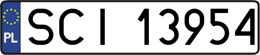 SCI13954