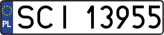 SCI13955