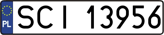 SCI13956
