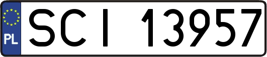 SCI13957