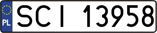SCI13958