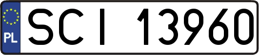 SCI13960