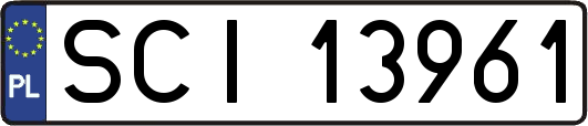 SCI13961