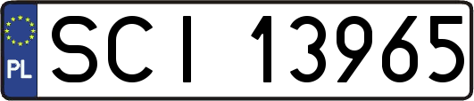 SCI13965