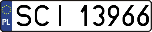 SCI13966