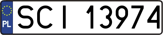 SCI13974