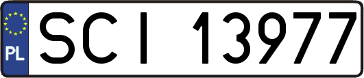 SCI13977